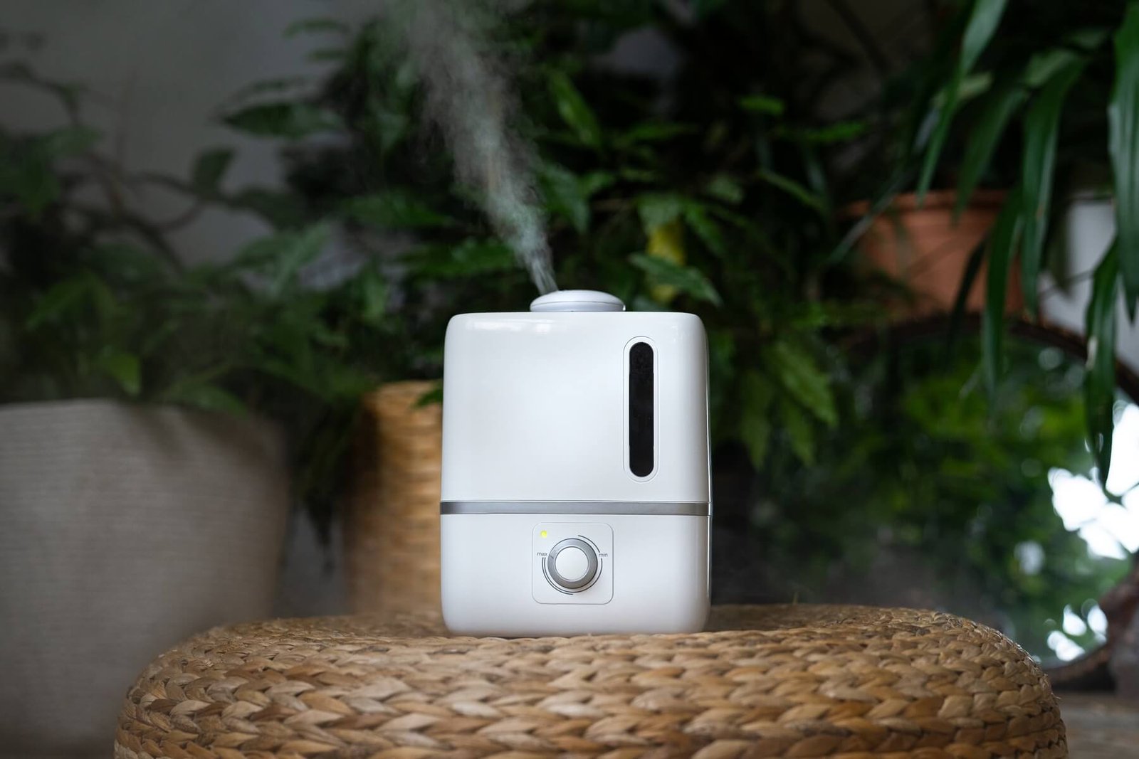 air humidifier in home garden during heating perio 2023 11 27 05 14 07 utc.jpg