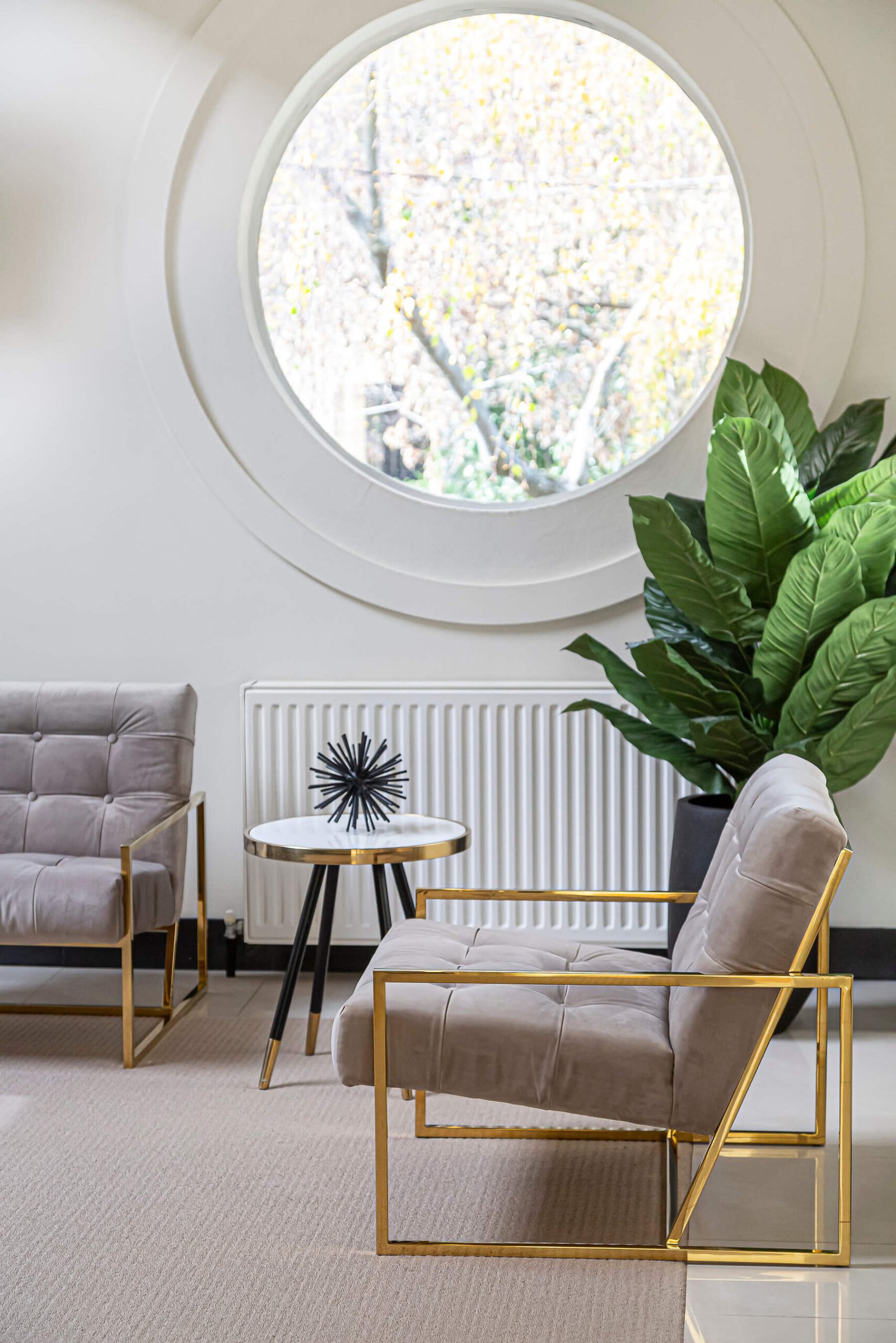 coffee table 2023 11 27 04 53 53 utc scaled.jpg